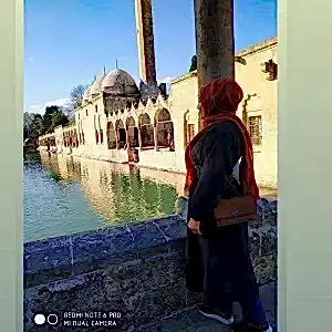 Ayşegül zemin cem kaya
